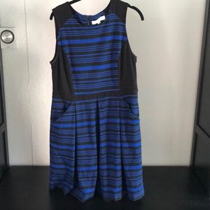 Black and Blue Loft dress